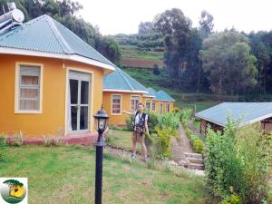 Um jardim no exterior de Antique cottages
