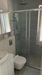 La salle de bains est pourvue de toilettes et d'une douche en verre. dans l'établissement Prázdninový dům u moře, à Bilice