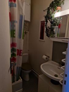 een badkamer met een toilet en een wastafel bij Studio RDC - Marina 4 - 13 allée des Pinons - 0-1 in Saint-Jean-de-Monts