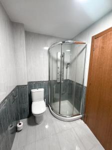 a bathroom with a toilet and a glass shower at PortoHome I in Portomarin