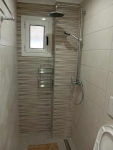 a shower stall in a bathroom with a toilet at Gerekos Studios and Apartments in Agios Georgios