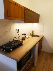 Kuchyňa alebo kuchynka v ubytovaní Apartmán Kostomlaty pod Milešovkou + 4 fotografie