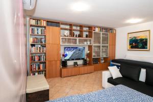 salon z kanapą, telewizorem i półkami na książki w obiekcie villa Mastro Oleario 5 dal mare 30 dai monti w mieście Torrevecchia Teatina