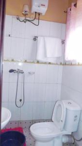 a small bathroom with a toilet and a shower at Antique Apartments in Entebbe