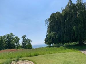 un albero in cima a una collina con l'oceano sullo sfondo di Lodge Glardons a Marin