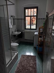 a bathroom with a toilet and a sink and a window at Privates Gästezimmer in Altenburg in Altenburg