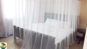 a bedroom with a bed with white curtains at Antique Apartments in Entebbe