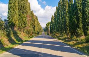 an empty road with trees on either side at Pet Friendly Apartment In C, Val Di Cecina With Kitchen in Castelnuovo di Val di Cecina