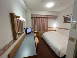 TV a/nebo společenská místnost v ubytování Hotel Alpha-One Marugame