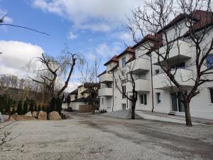 une grande maison blanche avec des arbres devant elle dans l'établissement Ort 245, à Ried im Innkreis