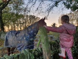 Imagen de la galería de 22 Washbrook Way, en Ashbourne