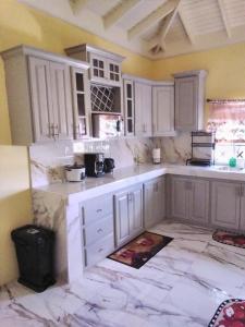 Kjøkken eller kjøkkenkrok på Jamaica Oasis Suite