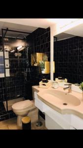 ein Badezimmer mit einem Waschbecken, einem WC und einer Badewanne in der Unterkunft Au coeur du quartier historique in Montpellier