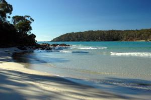 a sandy beach with the ocean and trees in the background at Colonial Motor Inn Pambula in Pambula