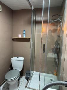 ein Bad mit einem WC und einer Glasdusche in der Unterkunft Spacieux studio confortable in Anzin
