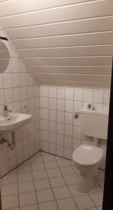 克萊沃的住宿－Zur Alten Schmiede Heister，一间带卫生间和水槽的浴室