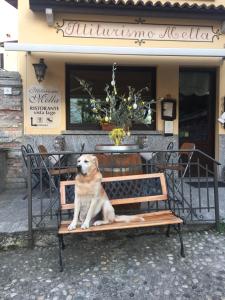 Mella Bellagio -La Corte - at the Lake with parking kisállat-vendégei