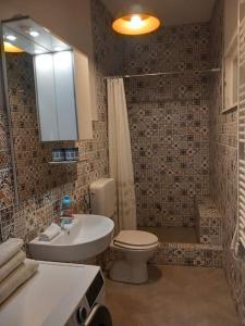 ein Bad mit einem WC, einem Waschbecken und einer Dusche in der Unterkunft Fisherman's House in Skrivena Luka