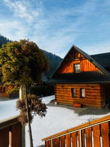 a wooden cabin with a tree in front of it at Nad Grajcarkiem in Szczawnica