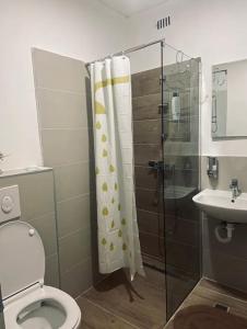 ein Bad mit einer Dusche, einem WC und einem Waschbecken in der Unterkunft Villa Esra Mostar in Mostar