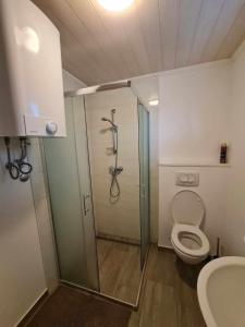 Kylpyhuone majoituspaikassa Hiška Panonski gaj - Terme Banovci