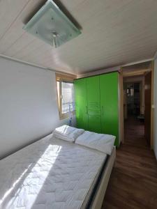 1 dormitorio con 1 cama grande y pared verde en Hiška Panonski gaj - Terme Banovci en Veržej