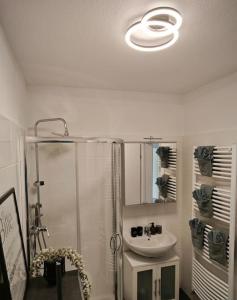 a bathroom with a shower and a sink at 3 Zimmer Ferienwohnung 80qm in Bamberg