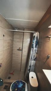 La petite salle de bains est pourvue d'une douche et de toilettes. dans l'établissement Olympiades Rooms Litóchoro, à Litochoro
