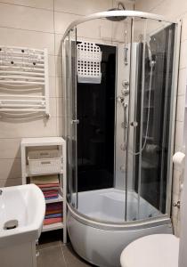 a bathroom with a shower and a sink at Ferienwohnung Wolin Ostsee Insel Misdroy in Wolin