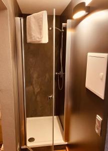 a shower with a glass door in a bathroom at ApartmentMICRO in Pfronten