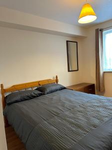 Goodmayes的住宿－Specious 1 Bed Apartment free wifi and parking，一间卧室设有一张大床和一个窗户。
