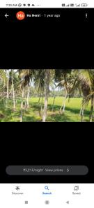 paddy farm varkala في فاركَالا: شاشة تلفزيون مع صورة نخلة