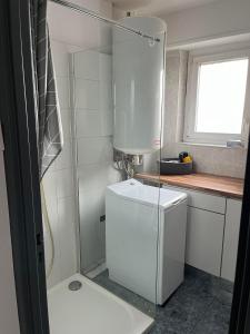 La petite salle de bains est pourvue d'une douche et d'un réfrigérateur blanc. dans l'établissement Travel homes spacieux et paisible parking privé, à Illzach