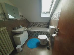 a small bathroom with a toilet and a sink at Ferienwohnung Haßberge in Knetzgau