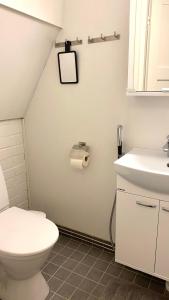 uma casa de banho com um WC e um lavatório em Arctica em Saariselka