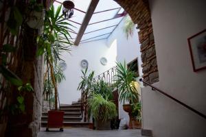 Alloggio turistico Santa Rosa في فِتيربو: ممر داخلي به نباتات الفخار ومنطر علوي