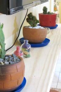 ein Tisch mit drei Topfpflanzen darauf in der Unterkunft Casa praiana - agradável e confortável ambiente com ar-condicionado in Parnaíba