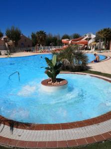 a large swimming pool with a palm tree in the middle at Mobilhome cosy tout confort 6-8 personnes in Valras-Plage