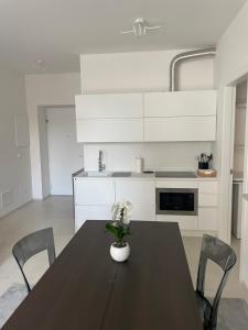 Kuchyň nebo kuchyňský kout v ubytování RP Apartment