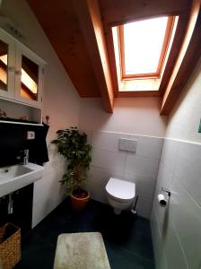 a bathroom with a toilet and a sink and a window at FeWoHerrmann in Gundelsheim