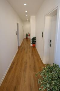 an empty hallway with potted plants in an office building at SEA & LAKE VIEW VILLA in (( Kalive Gjoka ))