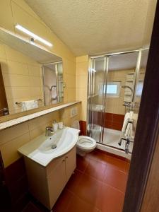 a bathroom with a sink and a toilet and a shower at Apartment Pupina in Žrnovnica