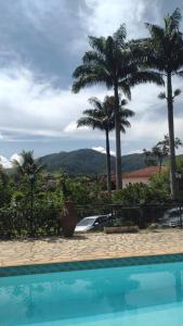 une piscine avec des palmiers en arrière-plan dans l'établissement Sítio Canto a Canto, à Miguel Pereira
