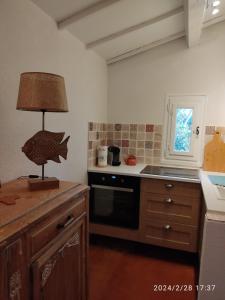 una cocina con una lámpara en la parte superior de un mostrador en La sauvagine en Saintes-Maries-de-la-Mer