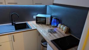 a kitchen with a counter with a microwave and a sink at Escapade Mulhousienne in Mulhouse