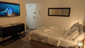 a bedroom with a bed and a flat screen tv at Escapade Mulhousienne in Mulhouse