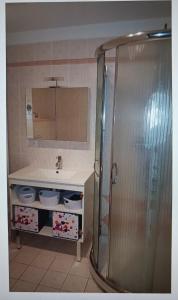 ein Bad mit einem Waschbecken und einer Dusche in der Unterkunft Frontière direct Monaco Studio en Résidence in Beausoleil