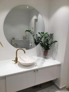 a bathroom sink with a mirror and a plant at Stan- och strandnära poolvilla. in Halmstad
