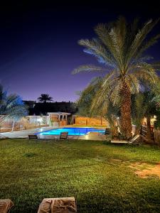 a palm tree next to a swimming pool at night at Paradis Touareg in Zagora