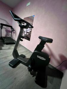 - une salle de sport avec un vélo d'appartement dans l'établissement Hotel Bella Napoli ristorante & spa, à Foggia